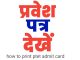 Download Rajasthan PTET Admit Card 2024 (@ptetvmou2024.com)
